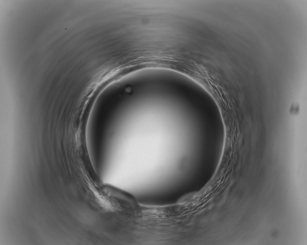 X0000096190050200801251250