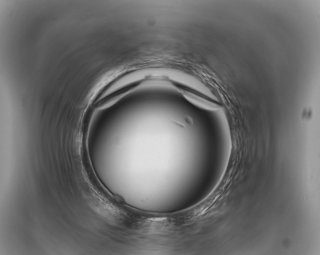 X0000096190054200801251250