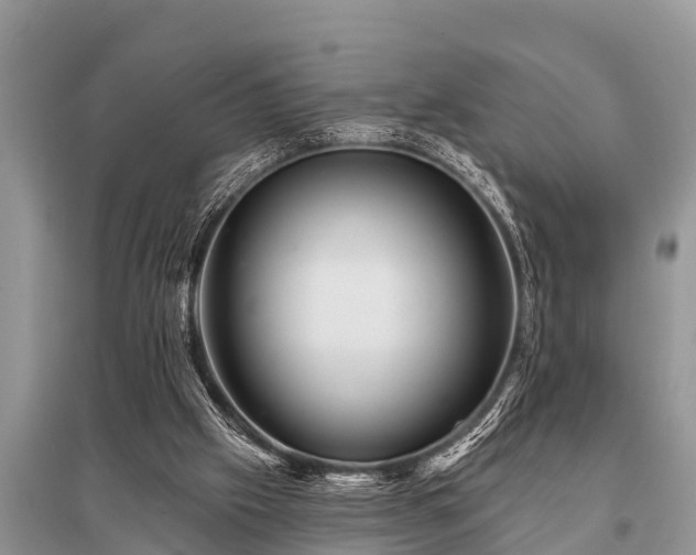 X0000096190057200801251250