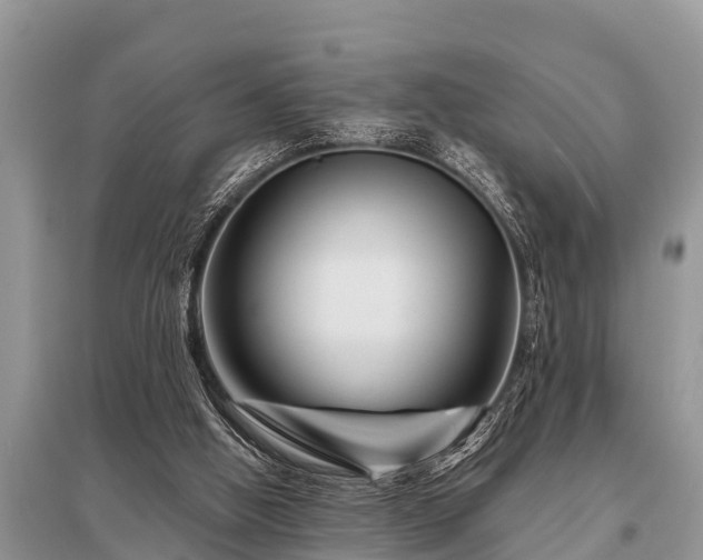 X0000096190058200801251250
