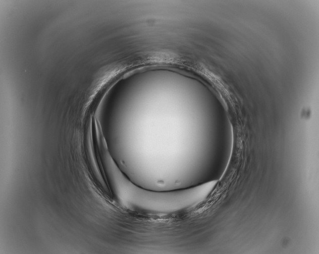 X0000096190060200801251250