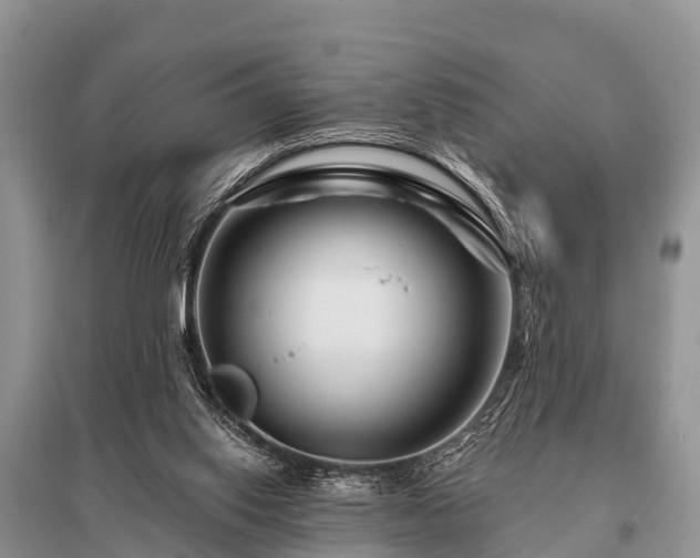 X0000096190062200801251250