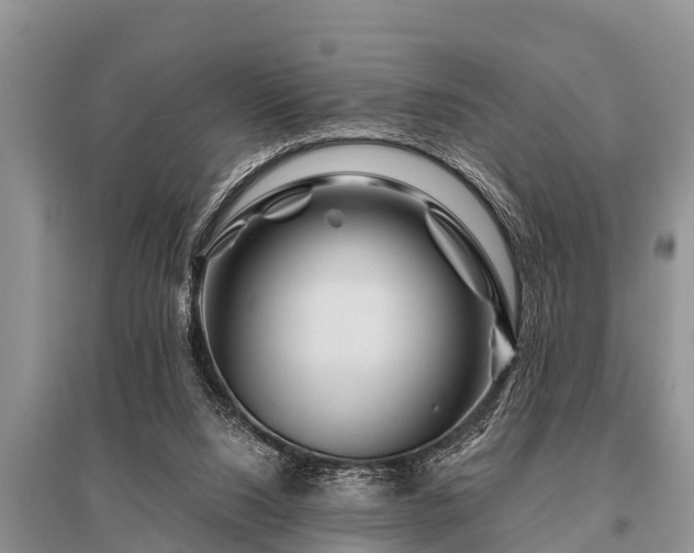 X0000096190064200801251250