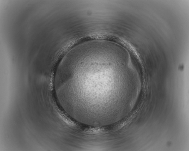 X0000096190065200801251250