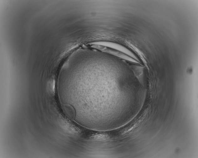 X0000096190067200801251250