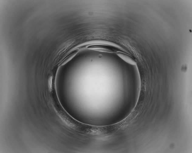 X0000096190070200801251250