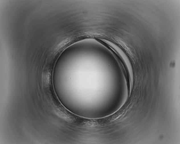 X0000096190071200801251250