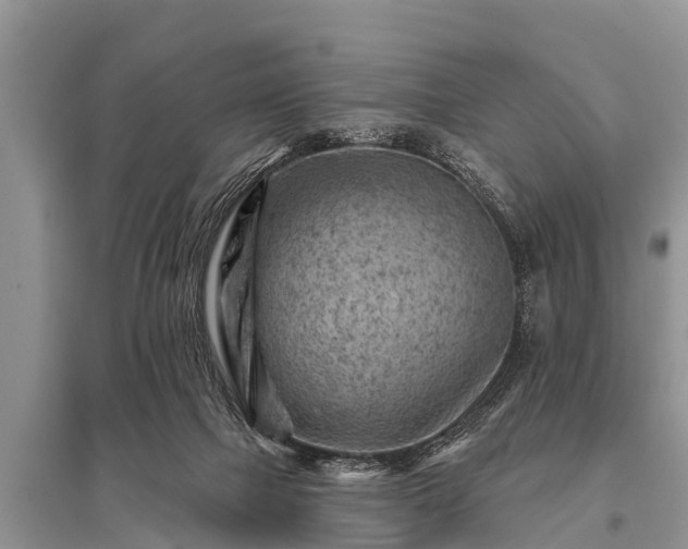 X0000096190073200801251250