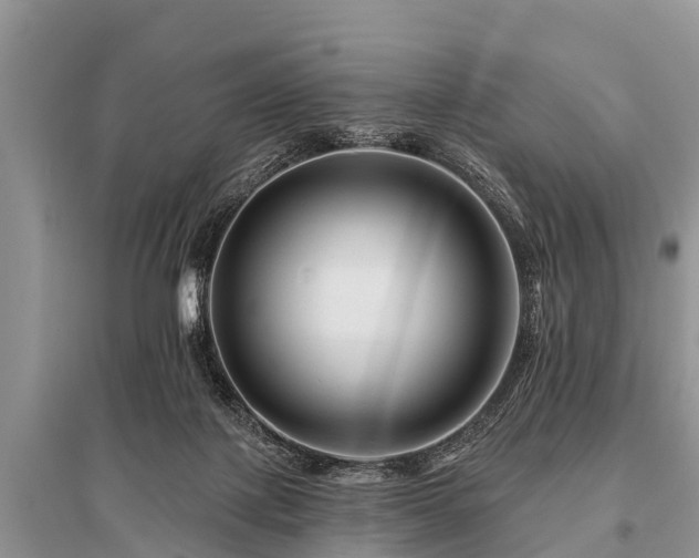 X0000096190075200801251250