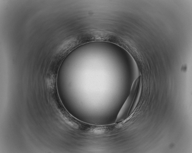 X0000096190078200801251250