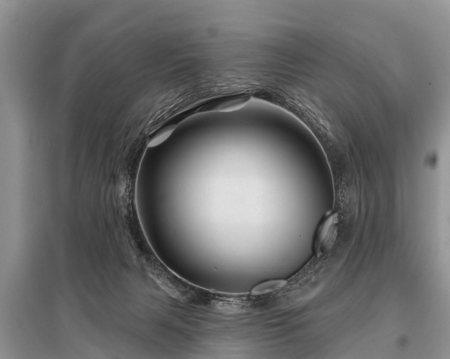 X0000096190079200801251250