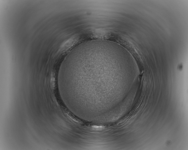 X0000096190080200801251250