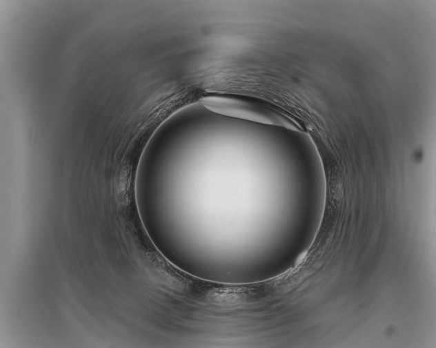 X0000096190082200801251250