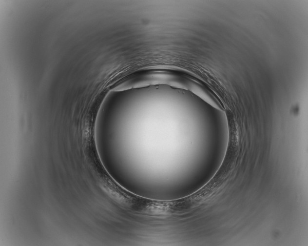 X0000096190084200801251250