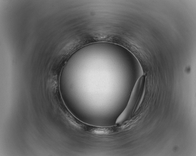 X0000096190085200801251250