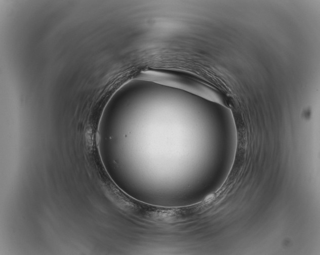 X0000096190086200801251250