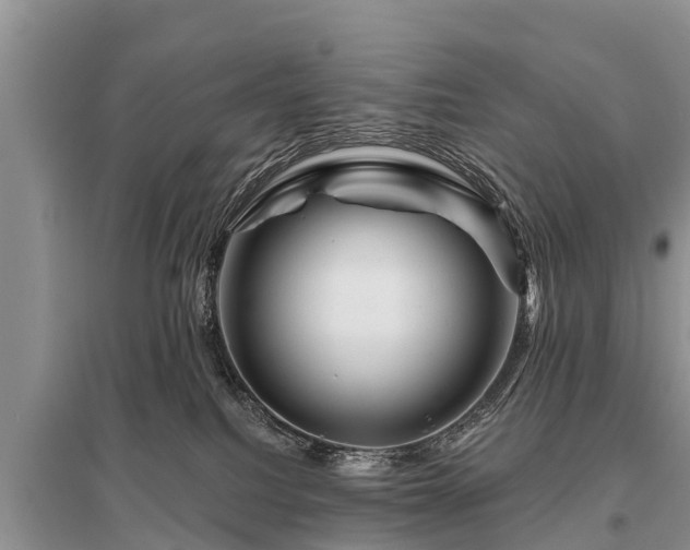 X0000096190088200801251251