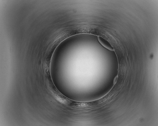 X0000096190091200801251251