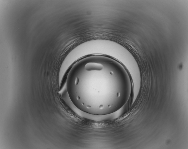X0000096190092200801251251