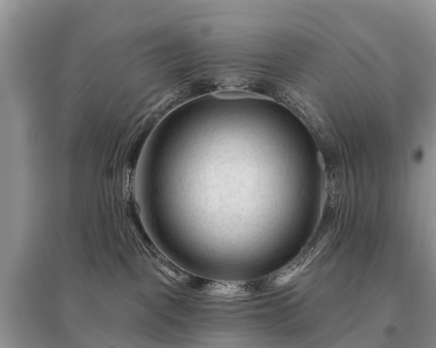X0000096190093200801251251