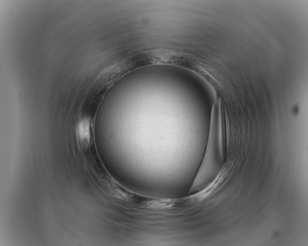 X0000096190094200801251251