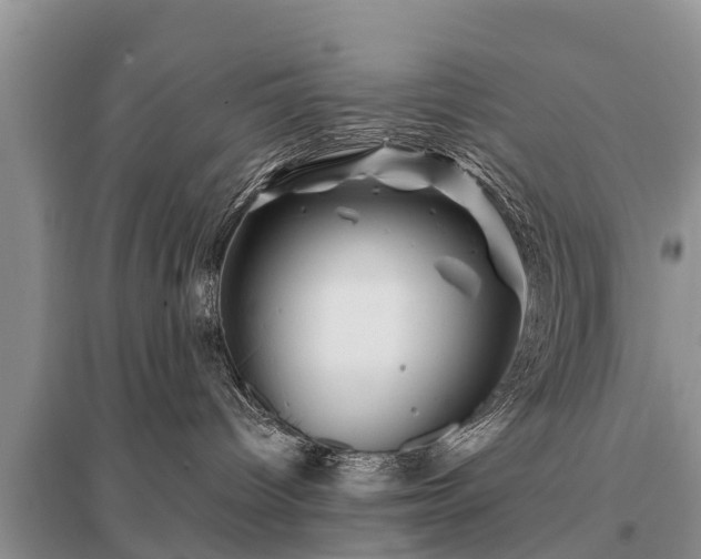 X0000096190096200801251251