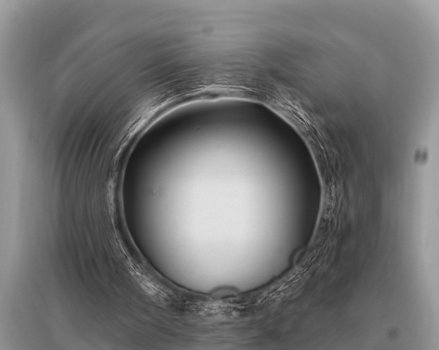 X0000096190098200801251250