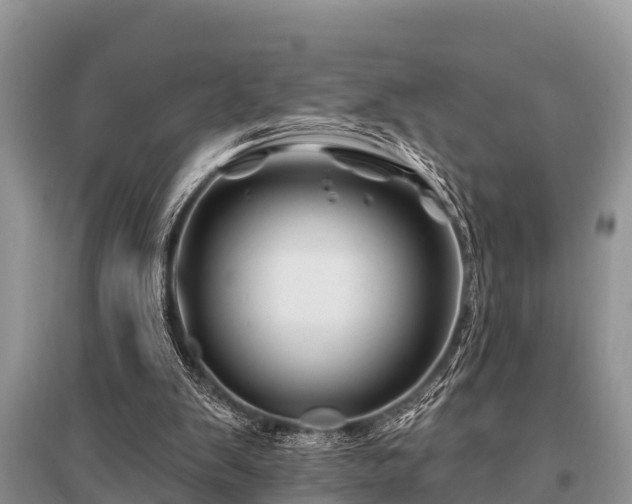 X0000096190103200801251250
