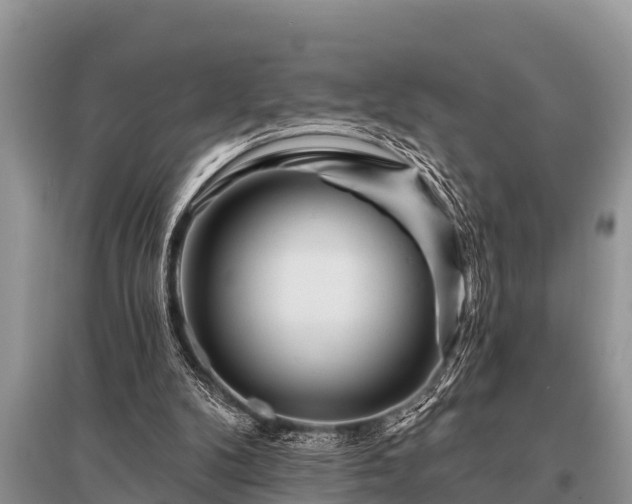 X0000096190104200801251250