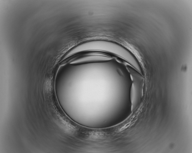 X0000096190105200801251250