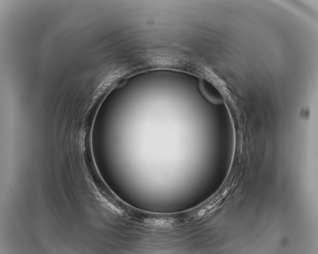 X0000096190106200801251250