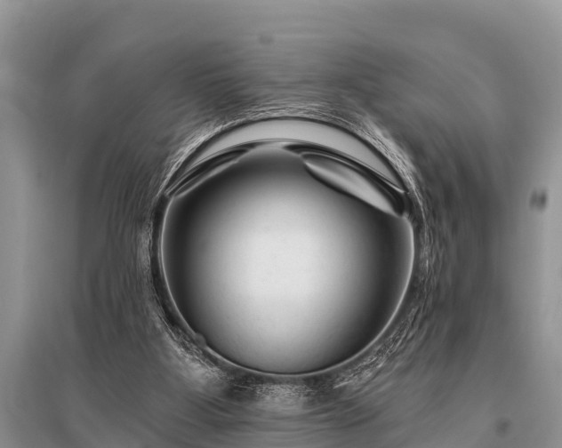 X0000096190107200801251250