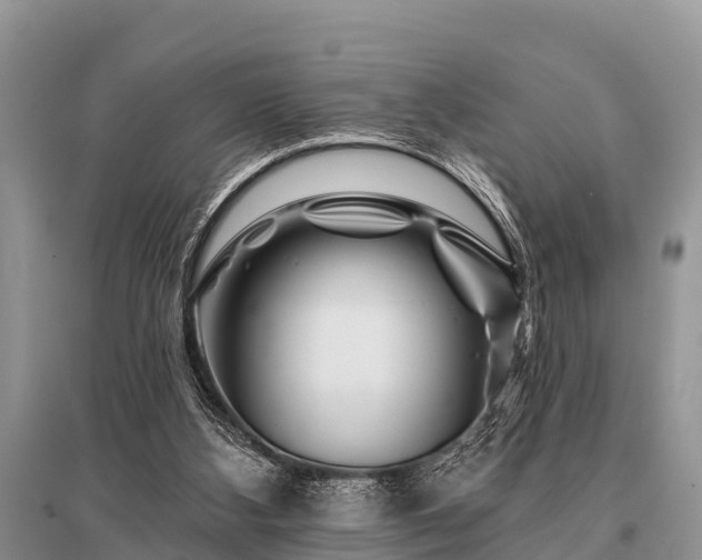 X0000096190108200801251250