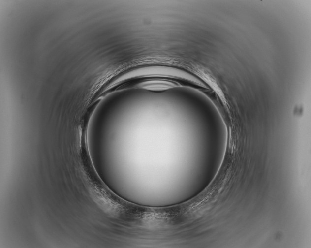 X0000096190109200801251249