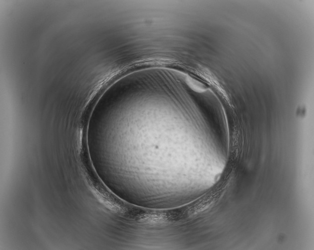 X0000096190110200801251249