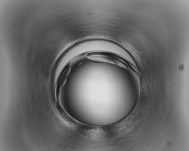 X0000096190112200801251249