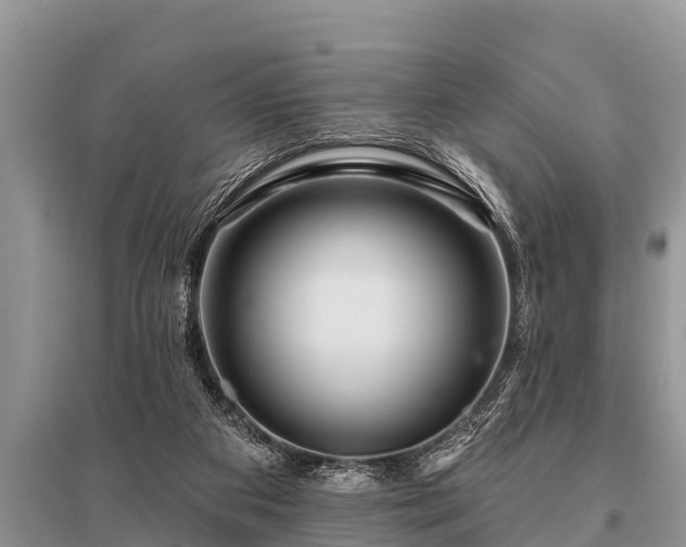 X0000096190113200801251249