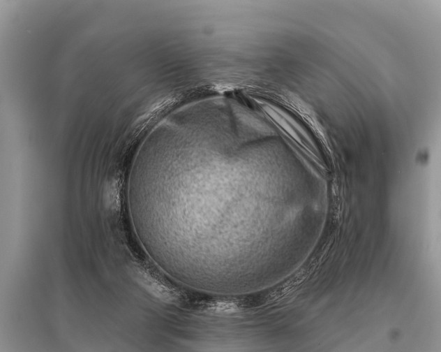 X0000096190114200801251249