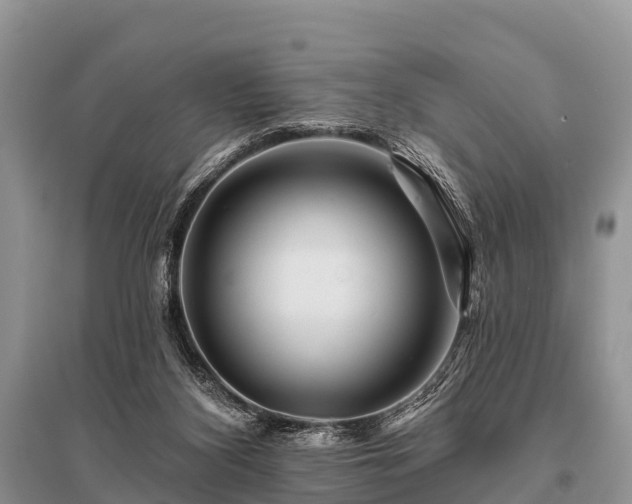 X0000096190116200801251249