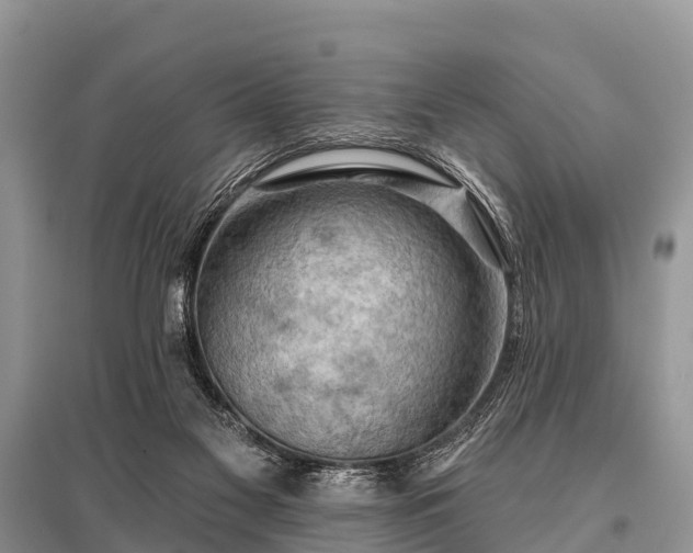 X0000096190117200801251249