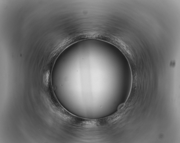 X0000096190118200801251249