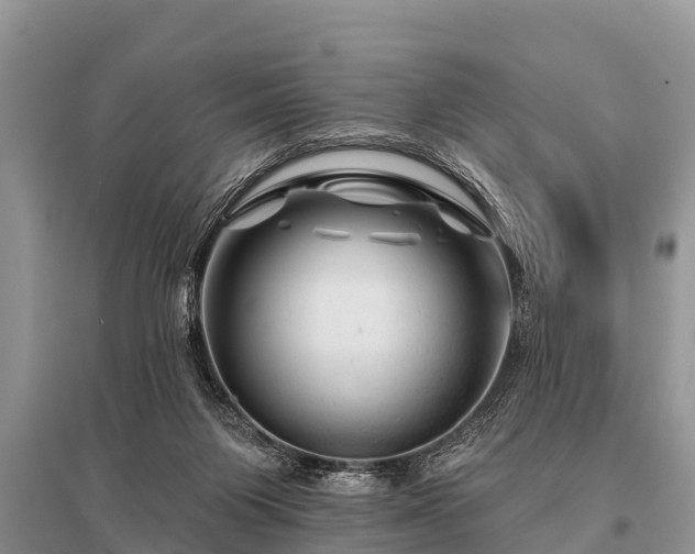 X0000096190119200801251249