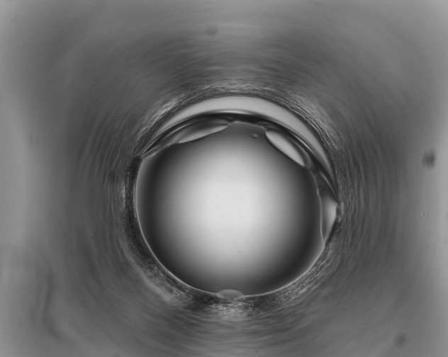 X0000096190120200801251249