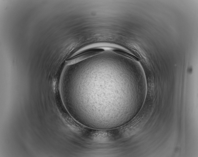 X0000096190123200801251249