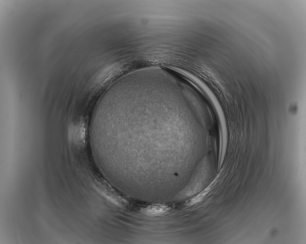 X0000096190124200801251249