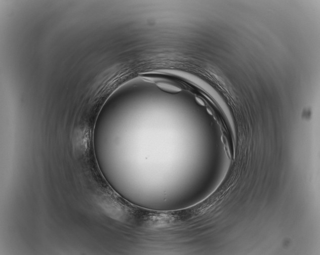 X0000096190125200801251249