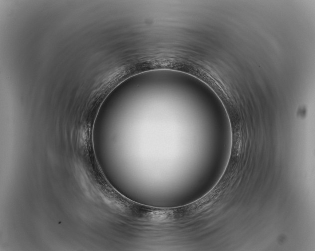 X0000096190126200801251249