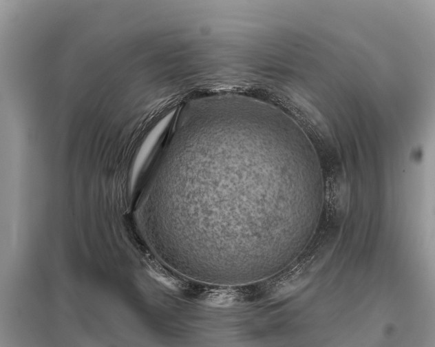 X0000096190127200801251249