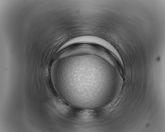 X0000096190128200801251249