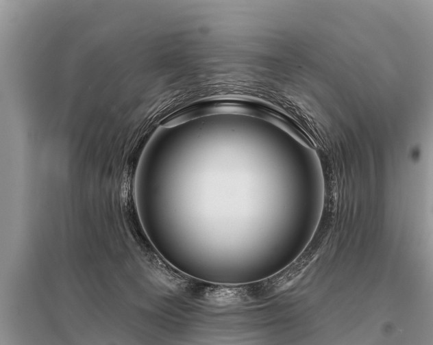 X0000096190129200801251249